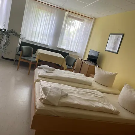 Zum Baeren Hotel Altenberg (Krušné hory)
