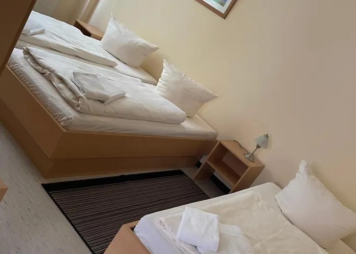 Hotel Zum Bären Altenberg (Erzgebirge)