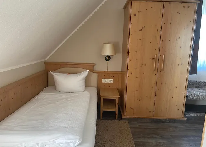 Zum Bären Hotel Altenberg (Erzgebirge)